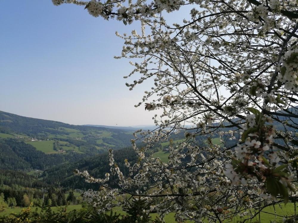 Alpengasthof Fernblick Moenichkirchen Exterior photo